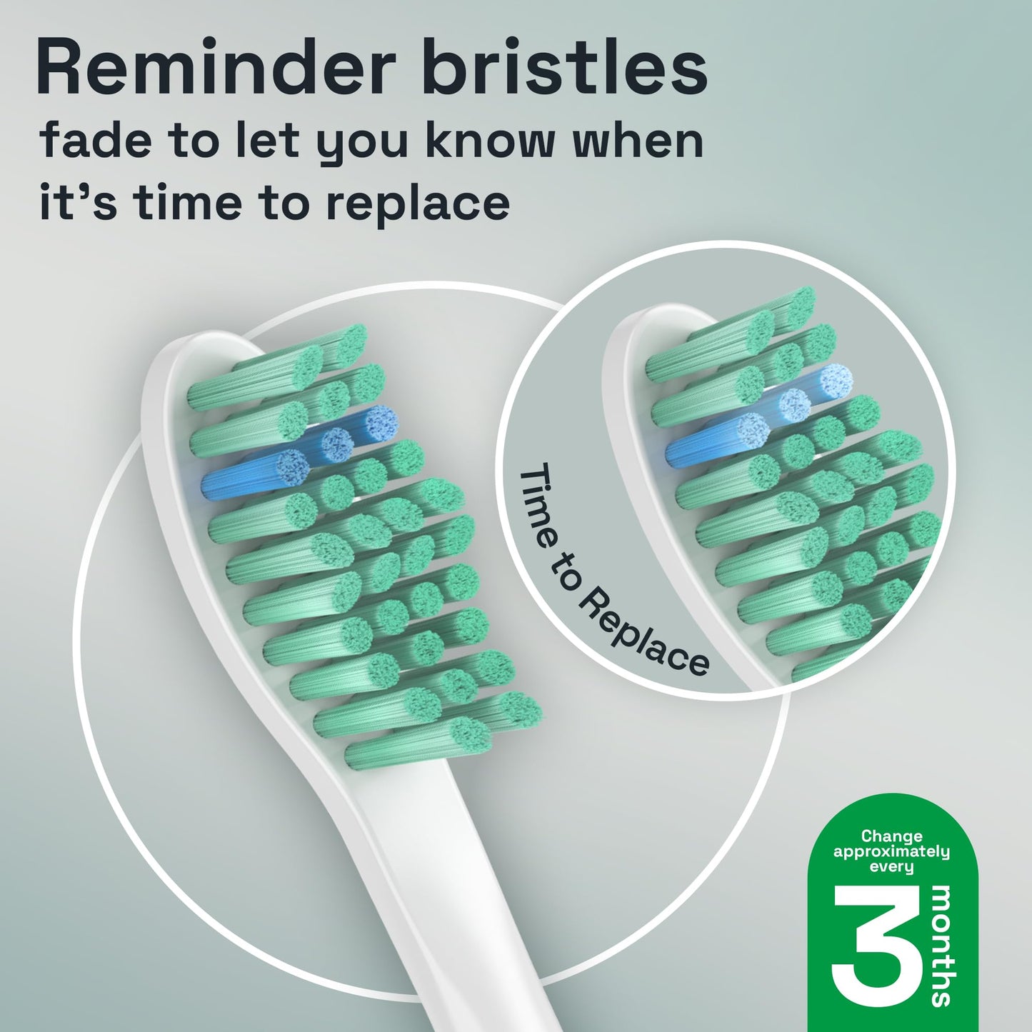 Brushmo e-Series Variety Replacement Toothbrush Heads, Compatible with Philips Sonicare Screw-on Toothbrush Handles, 6 Variety Heads (Standard, Compact & Sensitive), Dupont Bristles, BM724+2, White